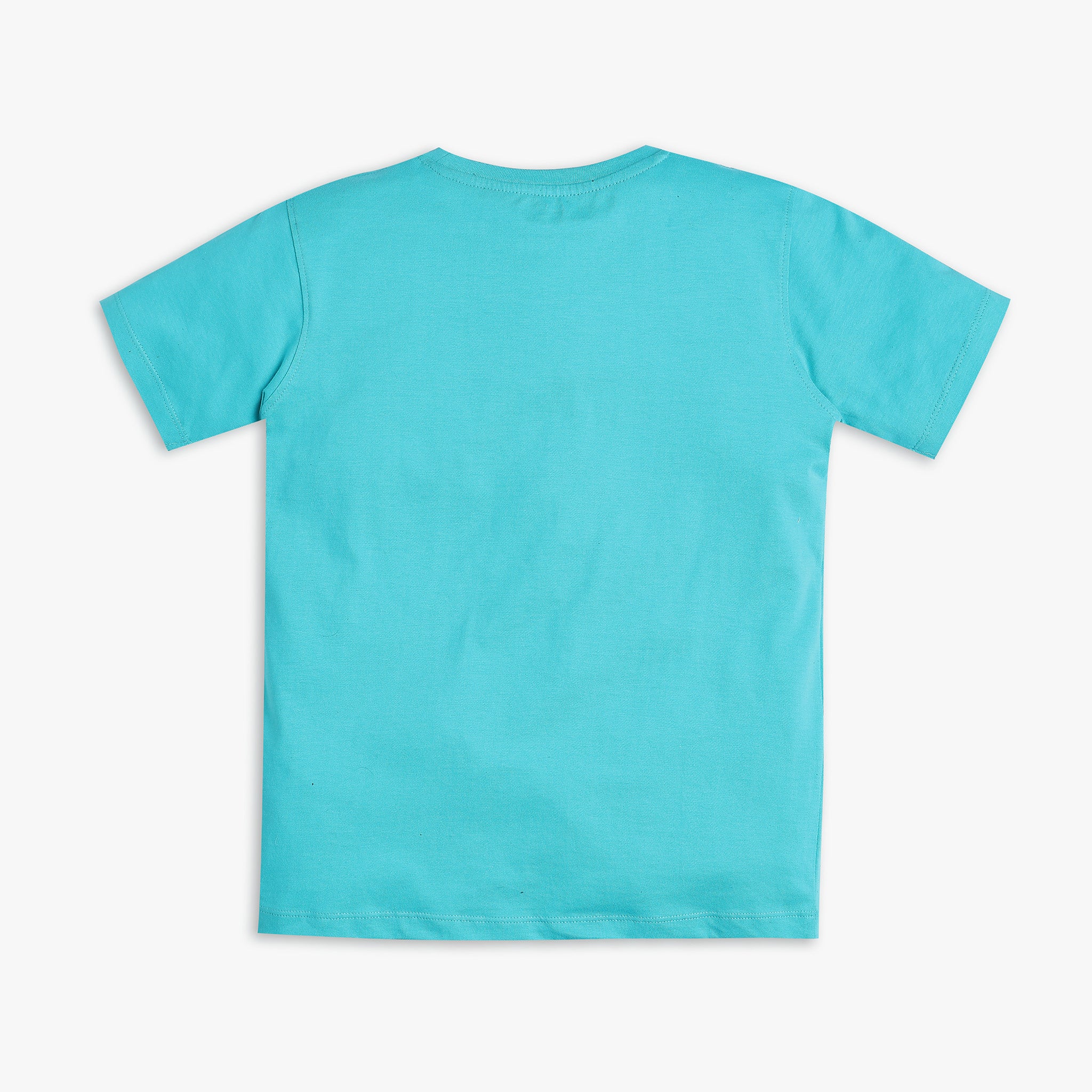 Boys Regular Fit Graphic T-Shirt