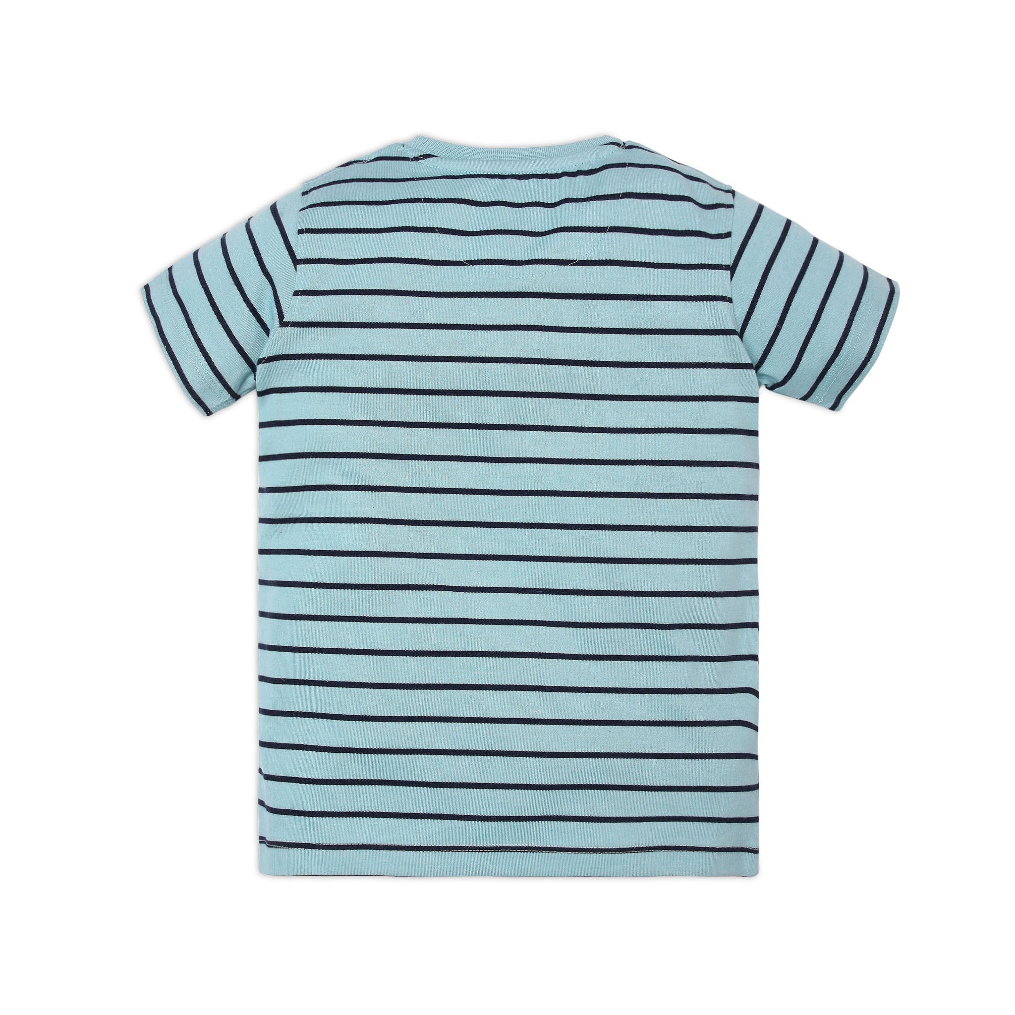 Boy's Regular Fit Striped T-Shirt