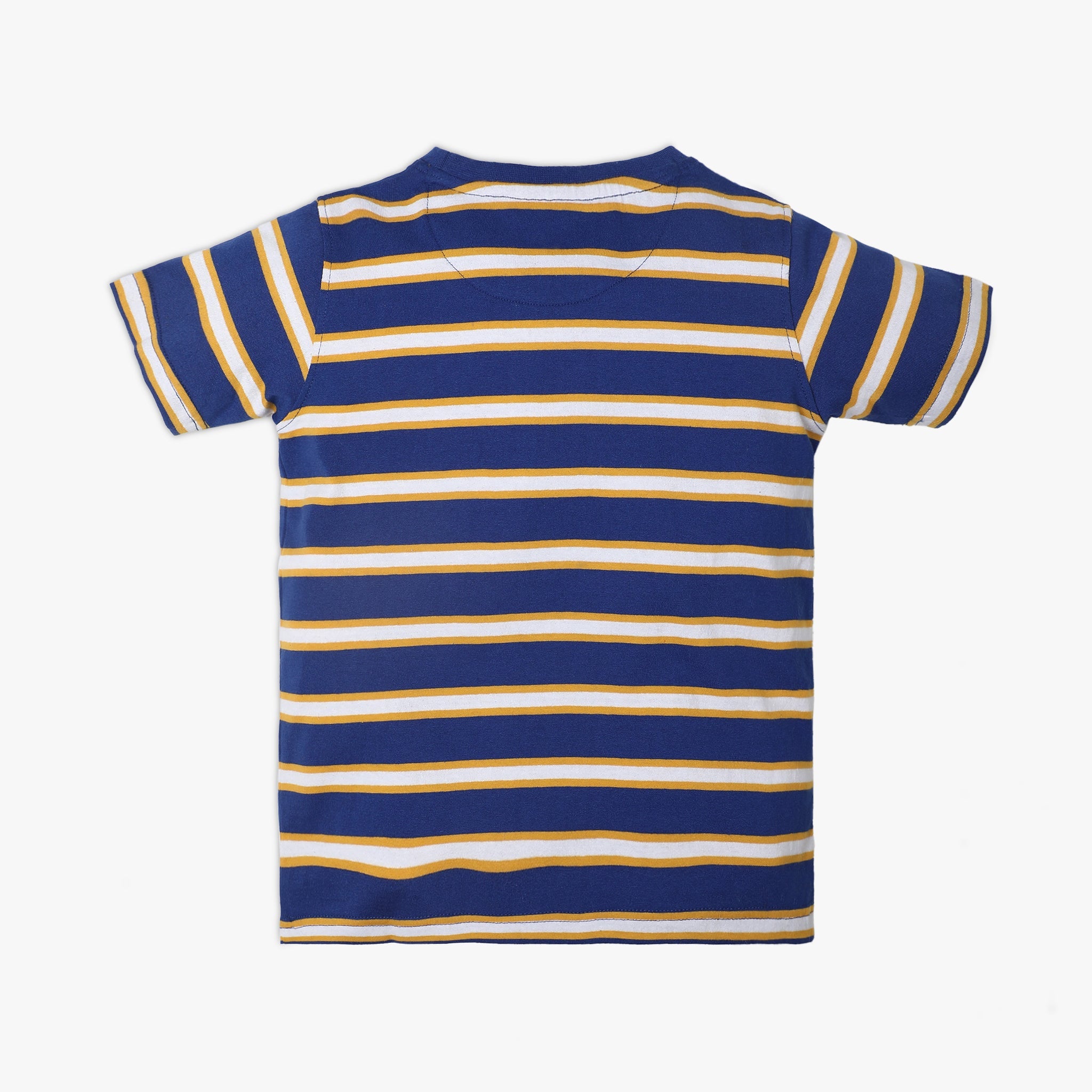 Boy Wearing Boy's Regular Fit Striped T-Shirt