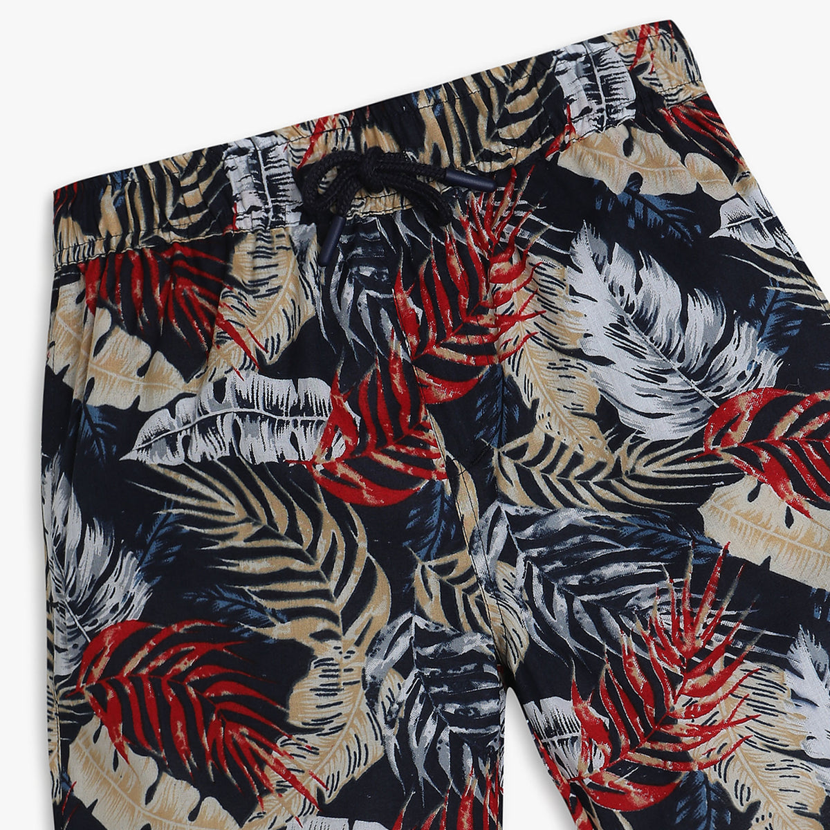 Boys Regular Fit Printed Mid Rise Shorts