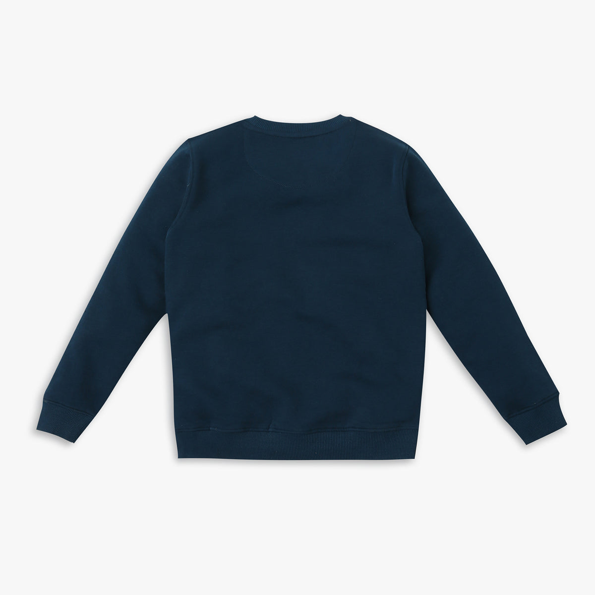 Boy's Regular Fit Graphic Sweat Tees