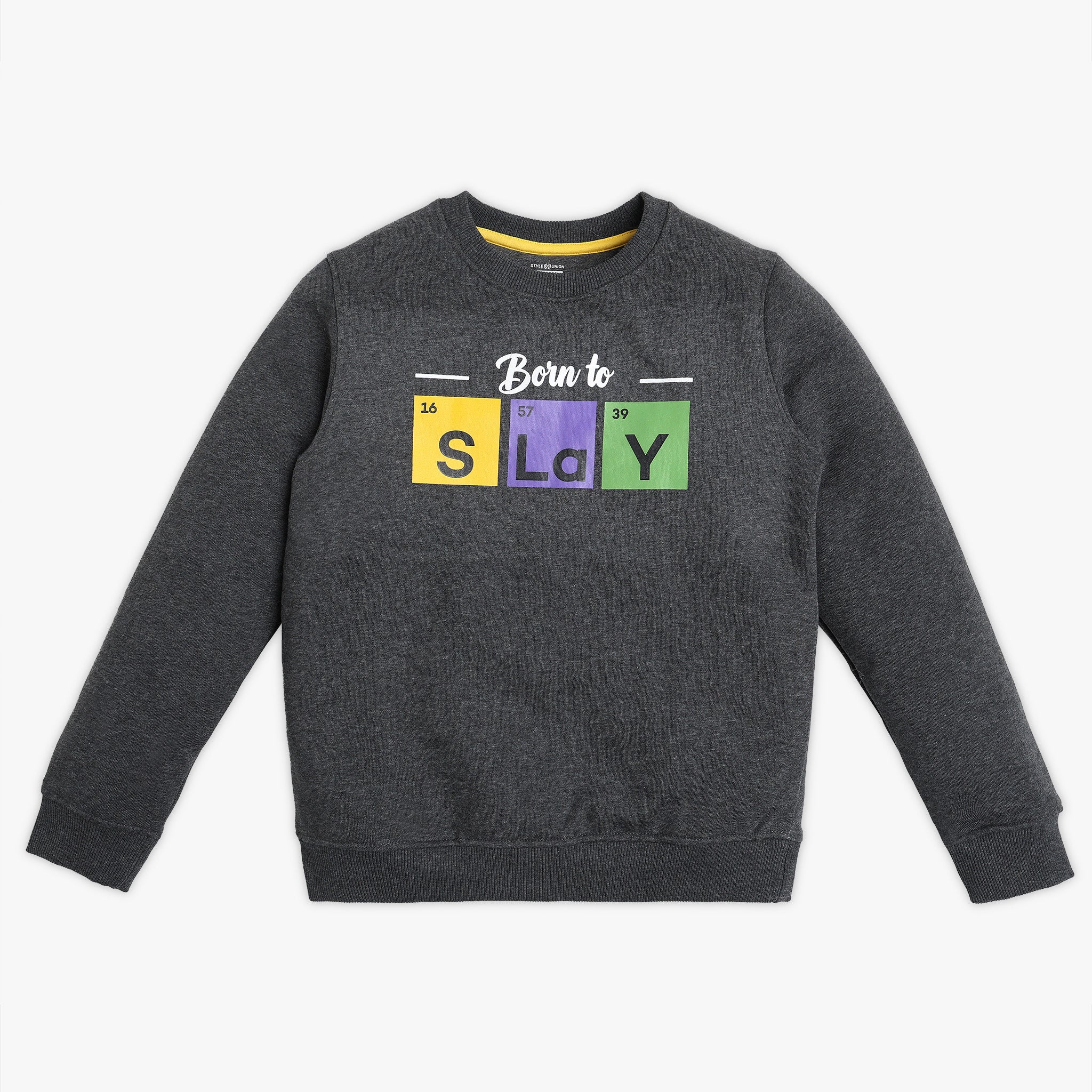 Boys Regular Fit Printed Sweatshirt