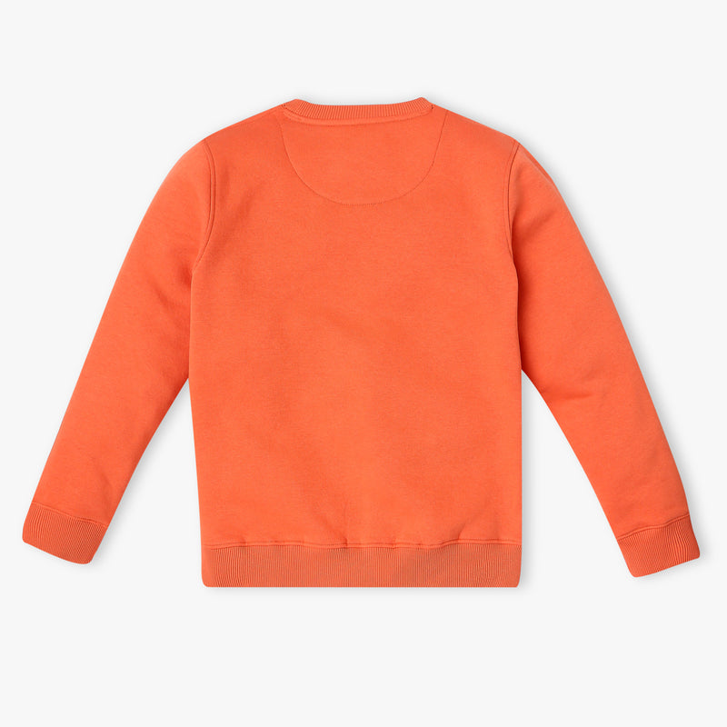 Boy's Regular Fit Printed Sweat Tees